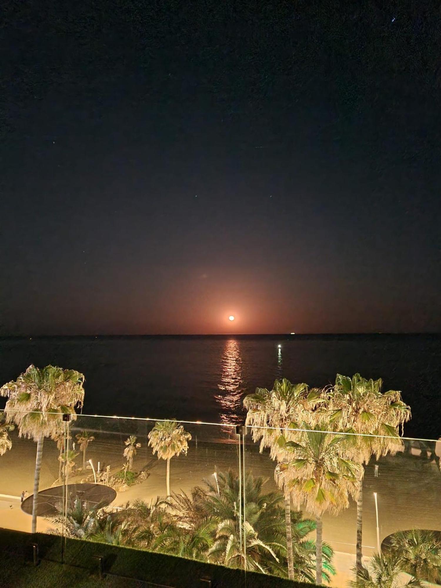 Sunnypalms - Beachfront Penthouse With Stunning Sea View Estepona Exterior photo